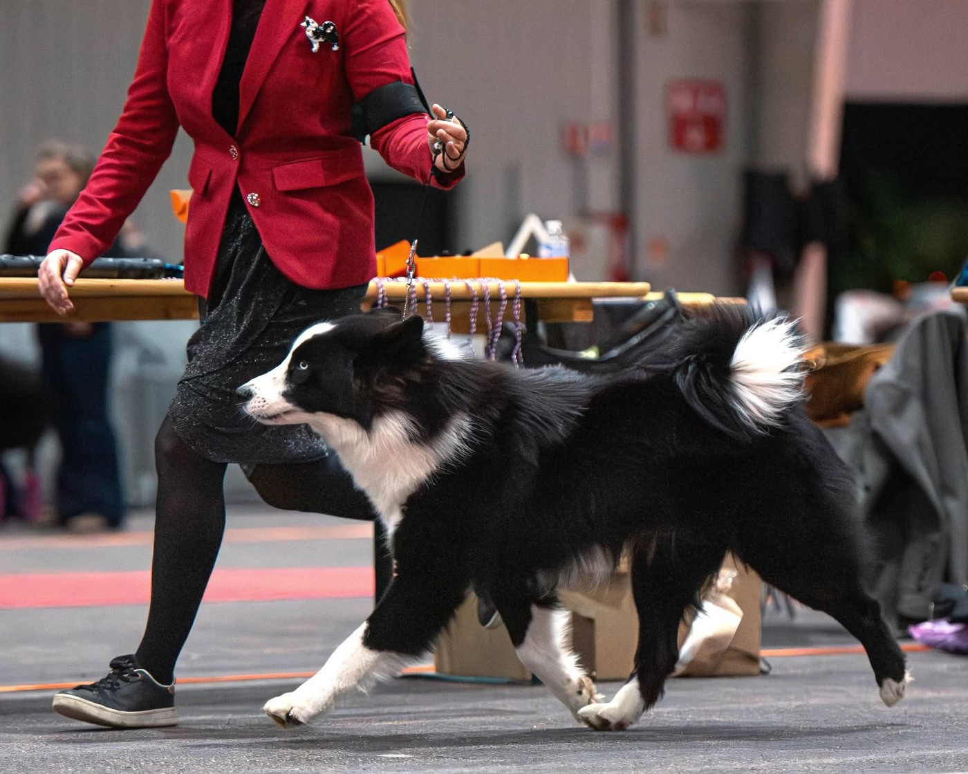 Vibrant memories for vince des légende de retz