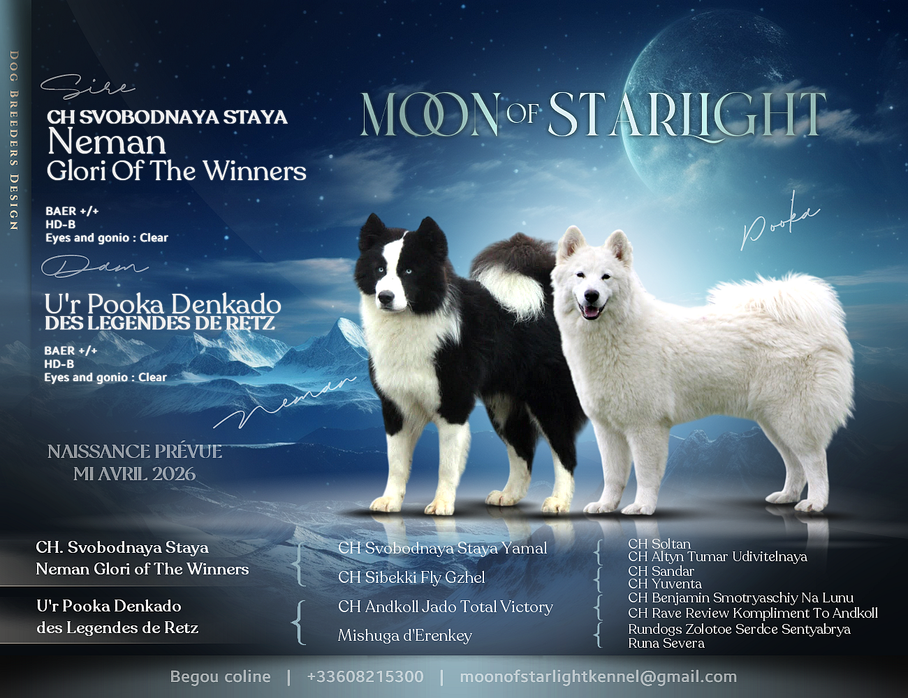 Bébés 2026 en route !