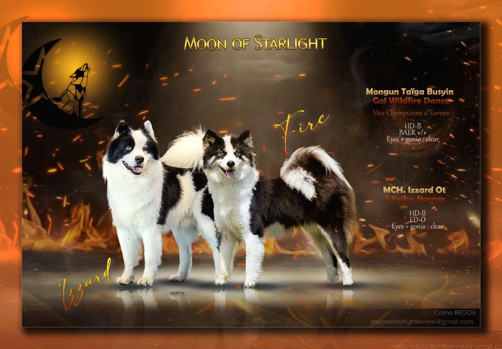 Nouvelle portée ! Réservation ouverte !